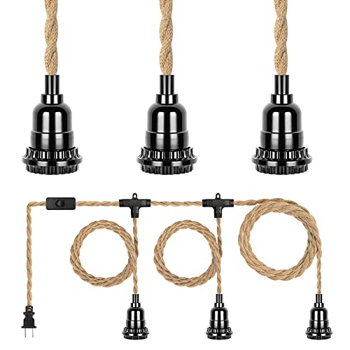 Plug in Hanging Light Fixture