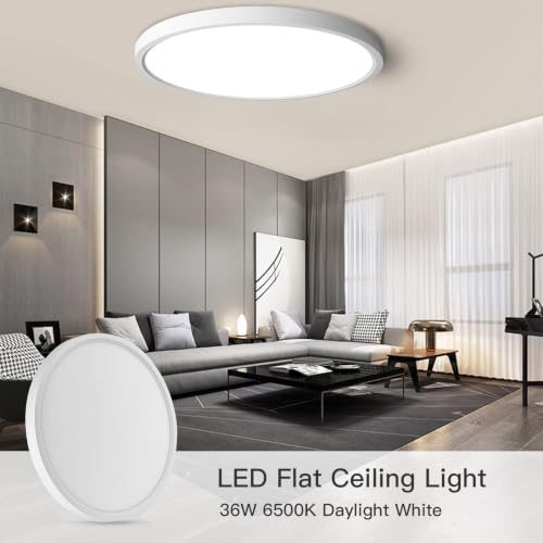 Flush Mount Ceiling Light