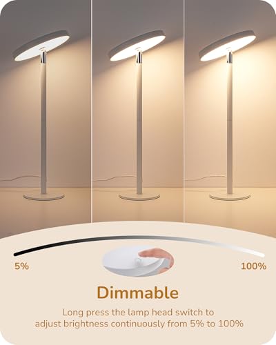 LED Desk Lamp