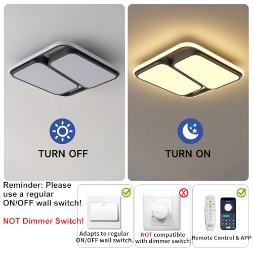 Modern LED Ceiling Light Fixture