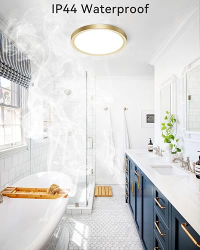 LED Ceiling Light Golden