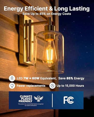 ST19 Dusk to Dawn LED Edison Bulb (8 Count)