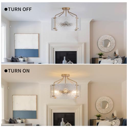 Semi Flush Mount Ceiling Light Fixture