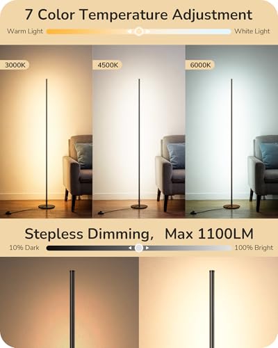 2 Pack 57.5” Floor Lamp with Remote (2 Count)