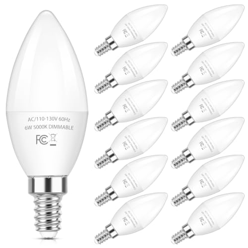E12 LED Bulbs (12 Count)