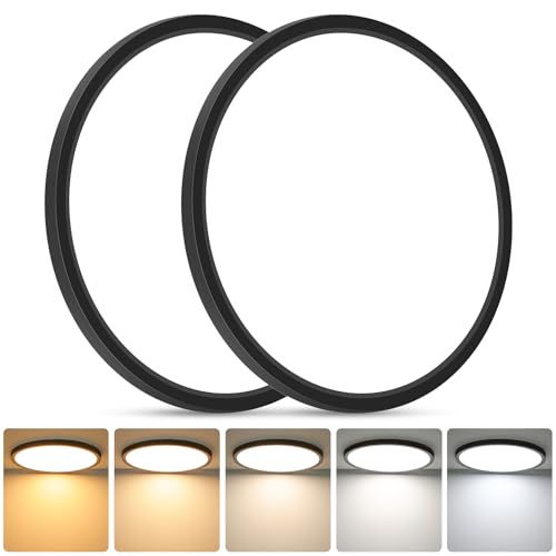 12 Inch LED Flush Mount Ceiling Light Fixture (2 Count)