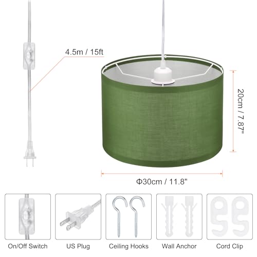 Plug in Pendant Light