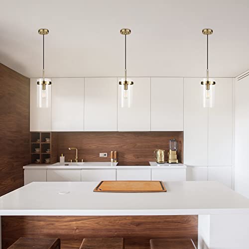 61209 1 Light Pendant Light