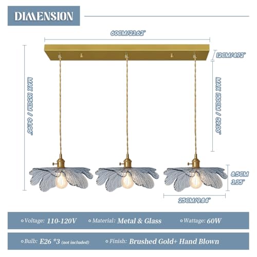 3 Light Hand Blown Glass Chandelier