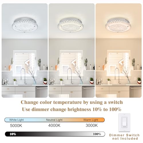 Crystal Ceiling Light 3000