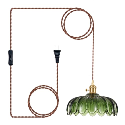 Plug in Pendant Light Fixtures