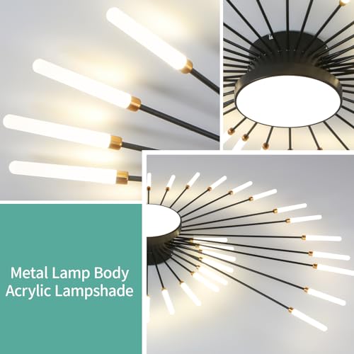 Modern Ceiling Light