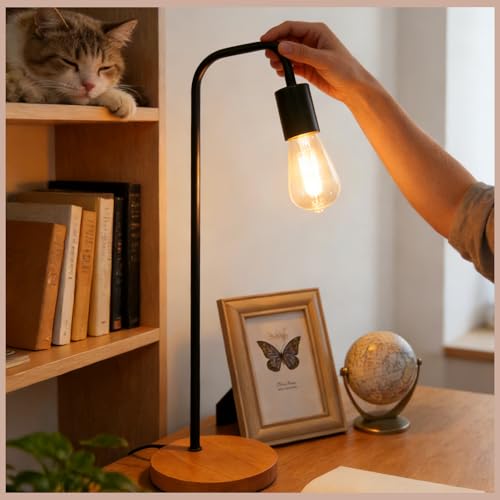 20 Pack Shatter Resistant LED Edison Light Bulbs 60W Equivalent (20 Count)