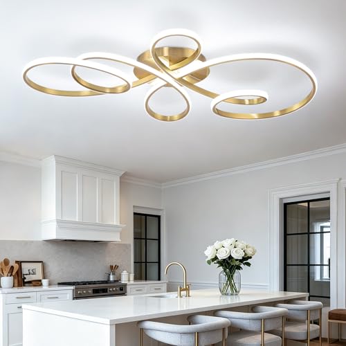 20inch Modern LED Ceiling Light