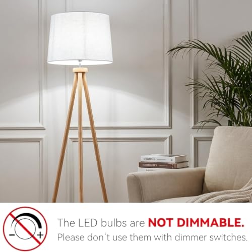 A19 LED Light Bulbs (24 Count)