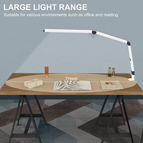 LED Desk Lamp with Clamp