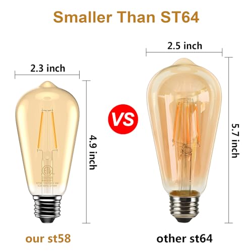 Edison Bulb ST58