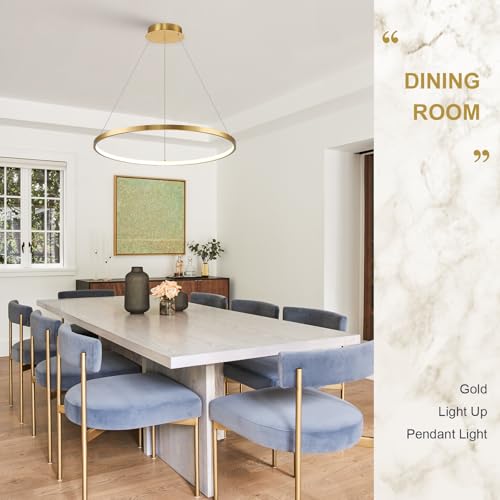 Brushed Gold LED Ring Chandelier 1