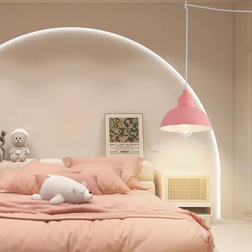 Plug in Pendant Light
