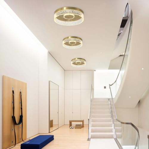 Modern LED Gold Flush Mount Ceiling Light