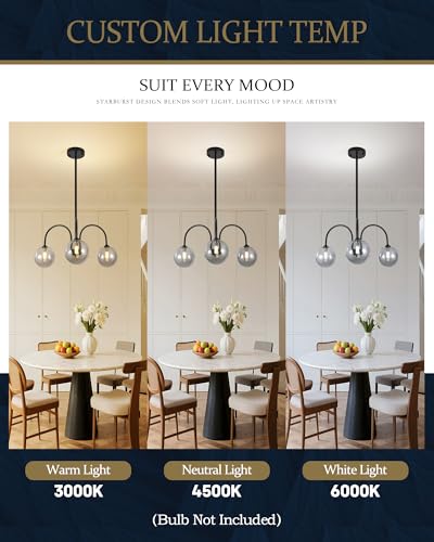 Black Sputnik Chandelier