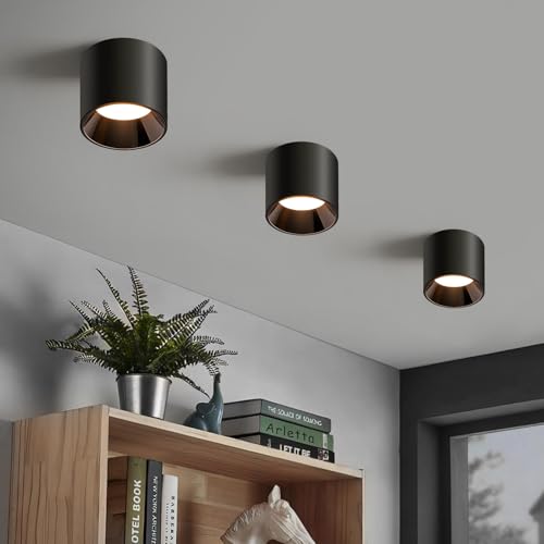 Modern LED Flush Mount Ceiling Light Fixtures for Hallway Kitchen Entryway