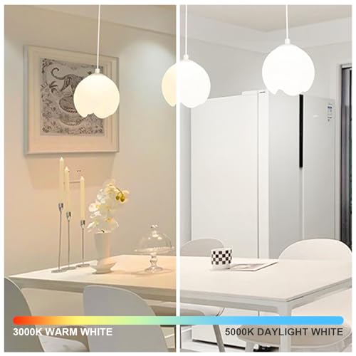 10 Pack 14W LED Dimmable Light Bulbs (10 Count)