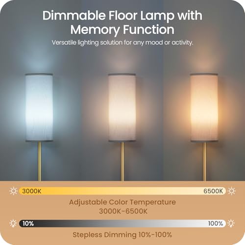 Dimmable Floor Lamp for Living Room with Remote and Foot Switch