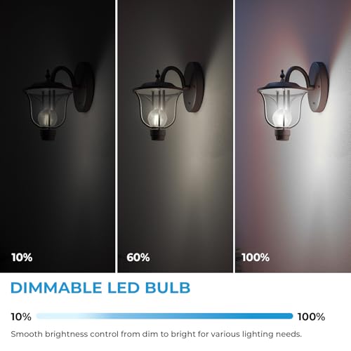 E26 Base G16.5 Edison Globe LED Bulb (6 Count)