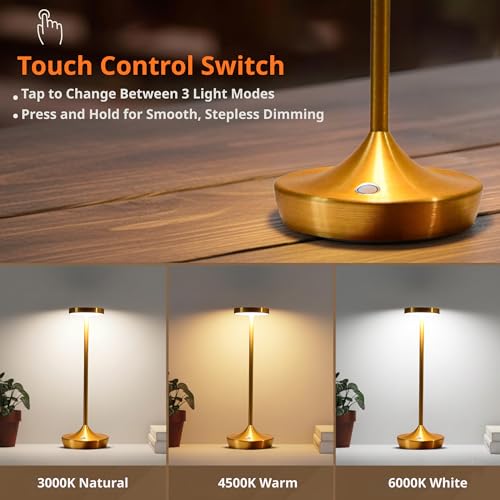 2 Pack Gold Cordless Table Lamps (2 Count)