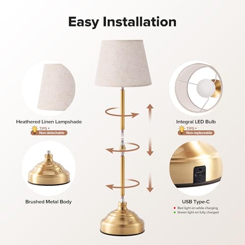 Cordless Table Lamp