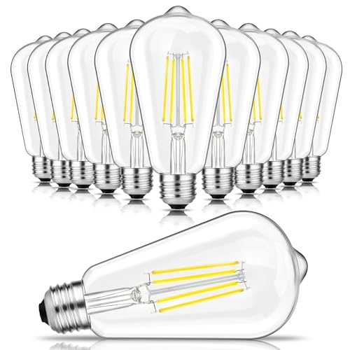 Vintage LED Edison Bulbs 60W Equivalent (12 Count)