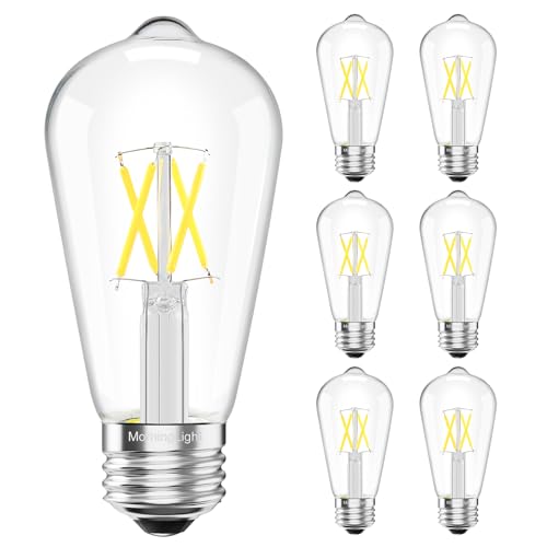 6 Pack Vintage LED Edison Bulbs (6 Count)