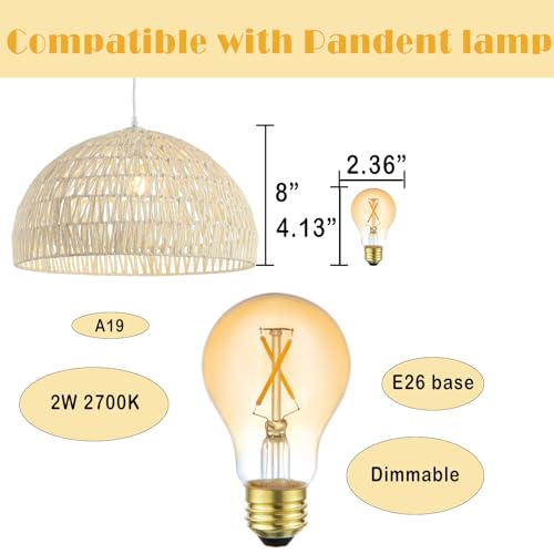 A19 Vintage LED Edison Light Bulbs (2 Count)