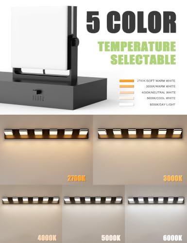 6 Light Bathroom Vanity Light (Black-5CCT / 42-Inch)
