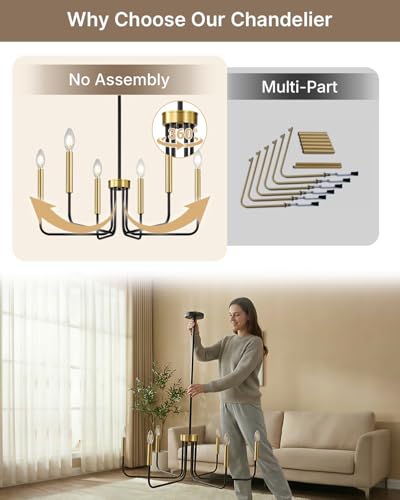 6 Light Black and Gold Chandelier