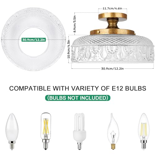 Semi Flush Mount Ceiling Light