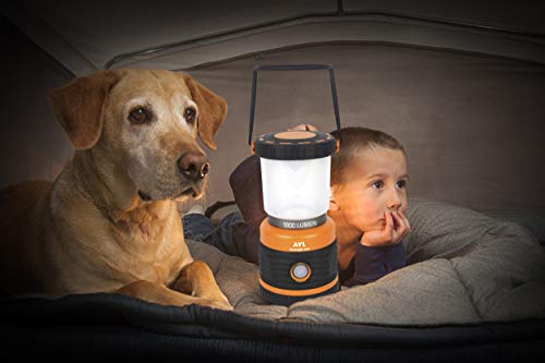 LED Camping Lantern (3.99 Count)