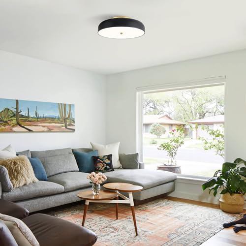 Dimmable LED Ceiling Light Fixture