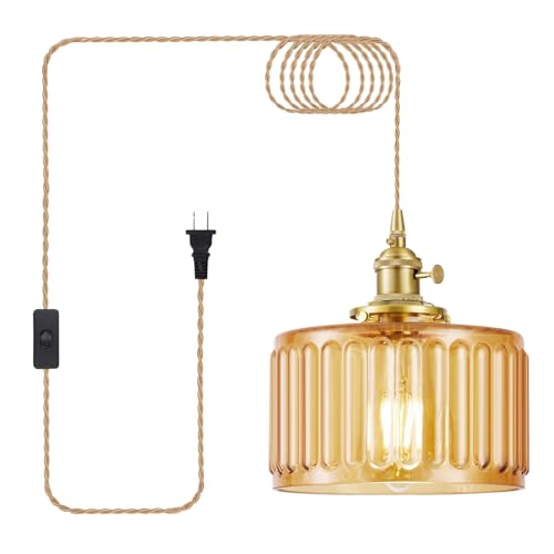 Plug in Pendant Light
