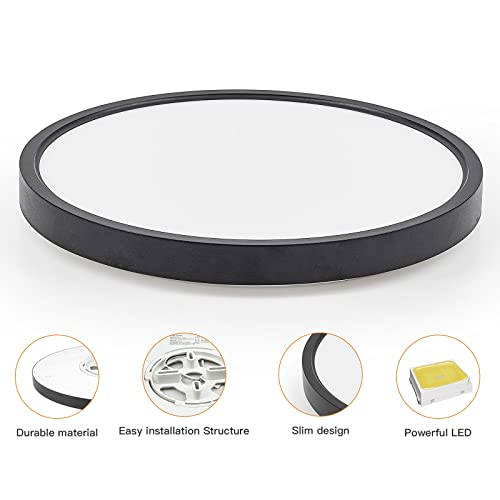 Dimmable Flush Mount Ceiling Light