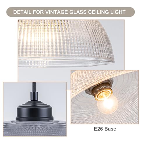 EDSILIVE Vintage Glid Glass Pendant Lights Kitchen Island 9.84" Barn Dome Clear Glass Hanging Ceiling Light Fixture with Black Finish for Dining Room Kitchen Table