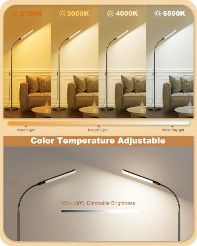 LED Floor Lamp (Black)