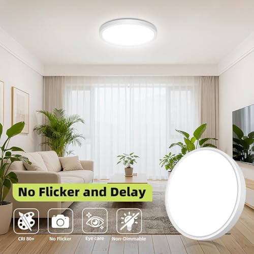 LED Flush Mount Ceiling Light