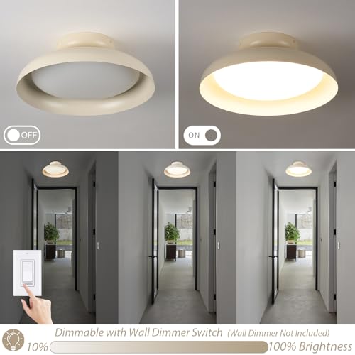 Dimmable LED Ceiling Light