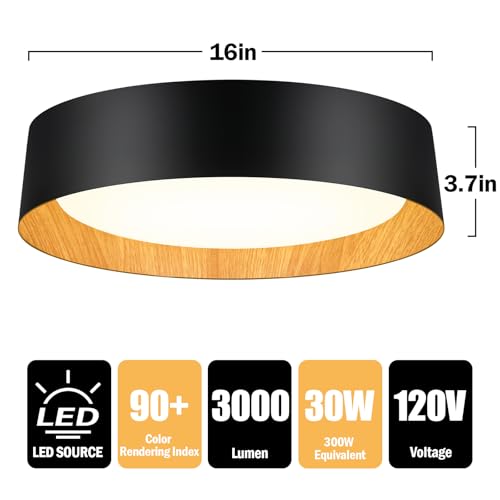 Flush Mount Ceiling Light