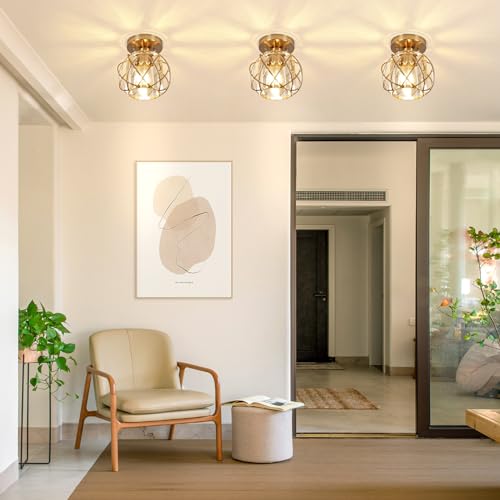 Hallway Light Fixtures Ceiling