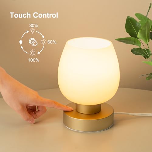Touch Bedside Table Lamp Set of 2 (2 Count)