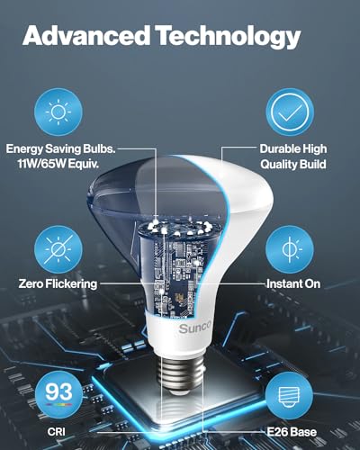 Sunco 12 Pack BR30 LED Bulb Flood Light (12 Count)