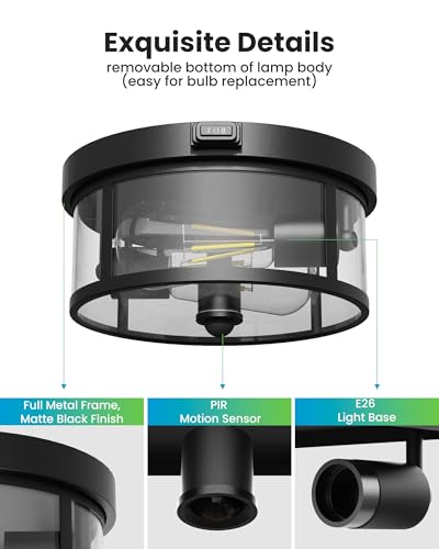 Outdoor Ceiling Light with Motion Sensor 9.3in